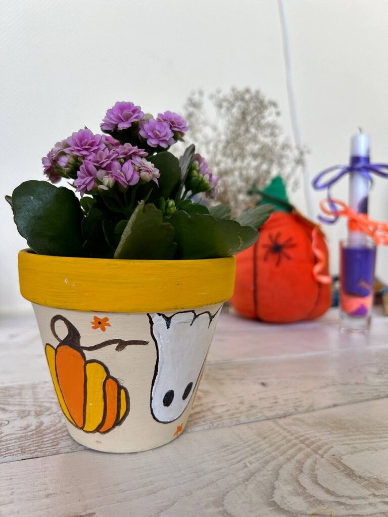 РОзпис горщиків і висадка квітки на майстер-класі