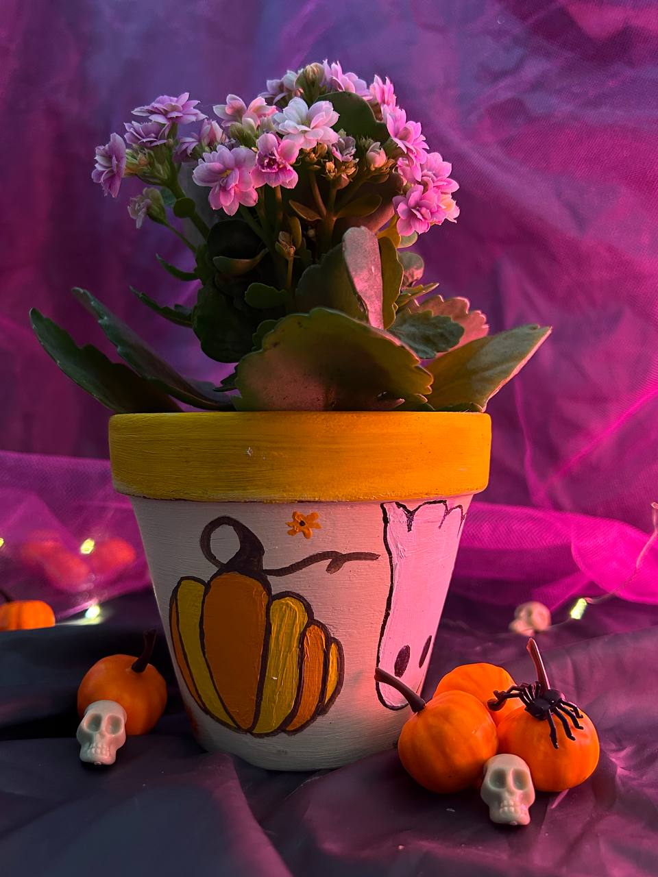 Приклад розпису горщика і висадки квітів